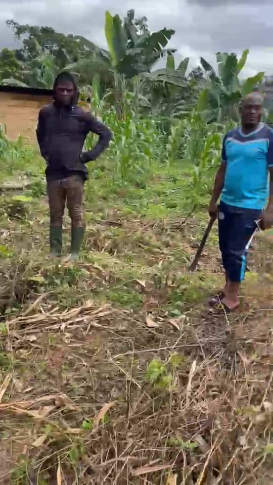 Agriculture